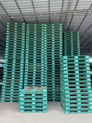 Pallet HVG – Công Ty TNHH Đầu Tư & Sản Xuất HVG