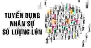 Công Ty Cổ Phần Cung ứng Và Đào Tạo Nhân Lực Việt Nam