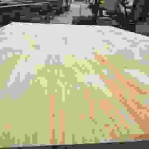 Công Ty Cổ Phần Chế Biến Lâm Sản Quảng Ninh