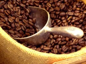 1378211599 Coffeebag