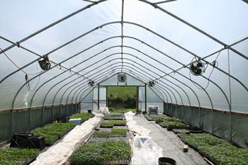 Vải Sợi Thiên Hà – Công Ty TNHH Thương Mại Và Vải Sợi Thiên Hà