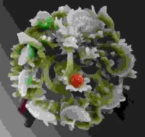 Công Ty TNHH MTV Thương Mại Dịch Vụ Hoàng Bảo Quân