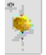 Công Ty TNHH ElasticKorea