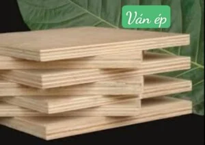 Gỗ Công Nghiệp Doãn Ngọc – Công Ty TNHH Doãn Ngọc