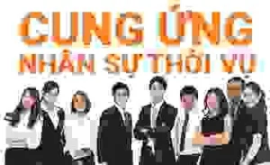 Công Ty Cổ Phần Cung ứng Và Đào Tạo Nhân Lực Việt Nam