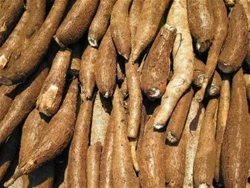 Công Ty CP Vin Global