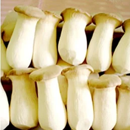 Công Ty TNHH Thực Phẩm Vương Liên