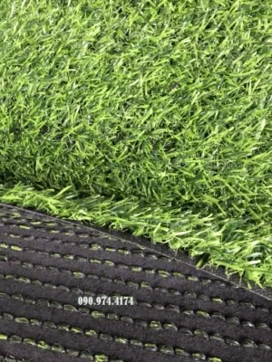 Công Ty TNHH NN Việt Nam