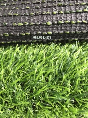 Công Ty TNHH NN Việt Nam