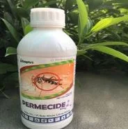 Phòng Mối Bắc Đại Dương – Công Ty Cổ Phần Bắc Đại Dương