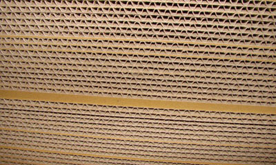 Bao Bì Toàn Cầu – Công Ty Cổ Phần Bao Bì Toàn Cầu