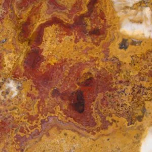 Công Ty TNHH Thương Mại Phát Triển Xây Dựng Cửu Long