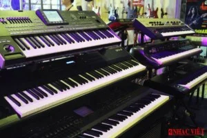 Nhạc Việt – Công Ty TNHH Thương Mại Nhạc Việt