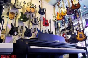 Nhạc Việt – Công Ty TNHH Thương Mại Nhạc Việt