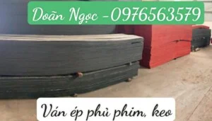 Gỗ Công Nghiệp Doãn Ngọc – Công Ty TNHH Doãn Ngọc