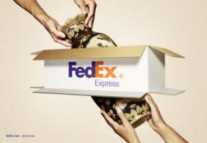 Công Ty TNHH Chuyển Phát Nhanh Trần Lê