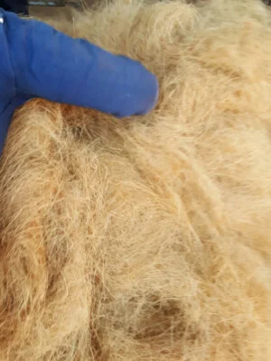 Xơ Dừa Minh Minh Tâm  – Công Ty TNHH Một Thành Viên Minh Minh Tâm