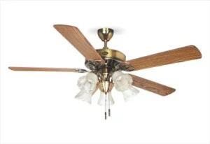 Quạt Trần Sinwa – Công Ty TNHH Nghệ Phong Sinwa