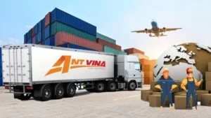 Ant Vina Logistics – Công Ty TNHH Ant Vina