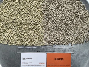 Hạt Điều Tutilan – Công ty Cổ Phần Tutilan Việt Nam
