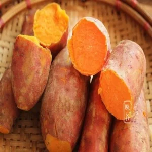 Nông Sản S Farm Việt Nam – Công Ty TNHH Xuất Nhập Khẩu S Farm Việt Nam