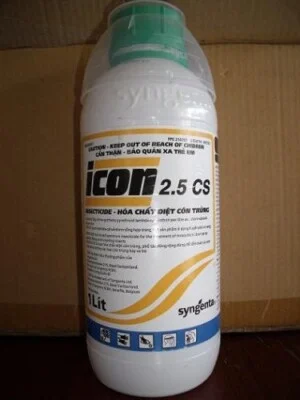 Icon202.5cs