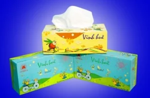 Công Ty Cổ Phần Giấy Vĩnh Huê