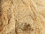 L39573784600
