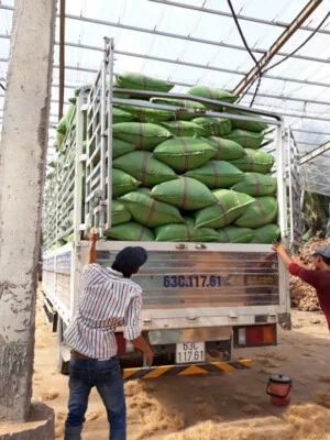 Xơ Dừa Minh Minh Tâm  – Công Ty TNHH Một Thành Viên Minh Minh Tâm