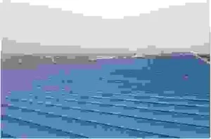 Công Ty TNHH SX XD & TM Thành Long