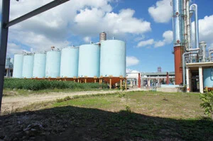 Công Ty TNHH Tùng Lâm