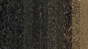 Chè á Châu – Công Ty TNHH Chè á Châu