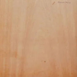 Ván ép Lâm Thịnh Đạt – Công Ty TNHH Ván ép Lâm Thịnh Đạt