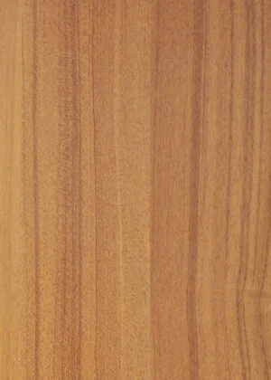 Ván ép Lâm Thịnh Đạt – Công Ty TNHH Ván ép Lâm Thịnh Đạt