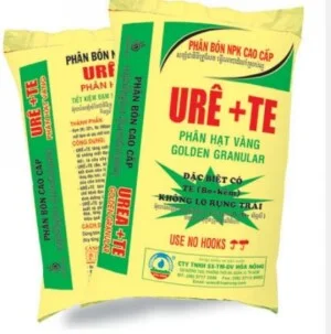 Công Ty TNHH Đầu Tư Xây Dựng Hoàng Thiên Phú