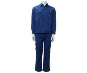 Công Ty TNHH Dolphin Vina