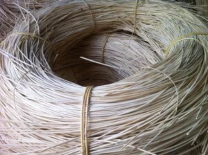 Mây Tre Đan Bảo Trung –  Hợp Tác Xã Chế Biến Kinh Doanh Hàng Xuất Khẩu Bảo Trung