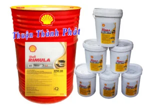 Công Ty TNHH Thương Mại Và Dịch Vụ Thuận Thành Phát