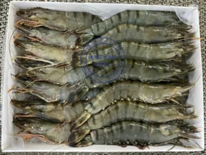 Thủy Hải Sản Hưng Long – Công Ty Trách Nhiệm Hữu Hạn Một Thành Viên Xuất Nhập Khẩu Thủy Hải Sản Hưng Long