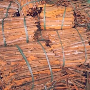 Dong Duong Food – Công Ty Cổ Phần Sản Xuất Đông Dương