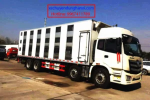 Công Ty TNHH Ô Tô Đông Phong Việt Nam