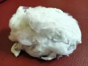 Xơ Polyester Vikohasan – Công Ty CP Vikohasan