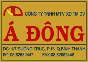A20dong