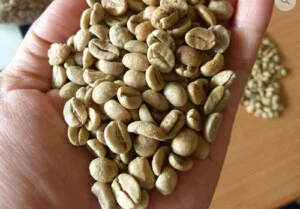 Arabica Nhan Song
