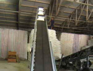 Dây Chuyền Sản Xuất Đông Bắc Việt – Công Ty TNHH Đông Bắc Việt