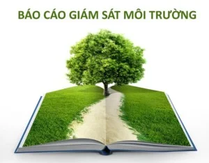 Bao Cao Giam Sat Moi Truong