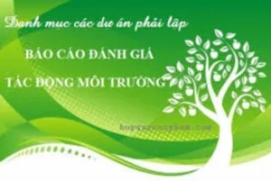 Môi Trường Đại Phú – Công Ty Cổ Phần Xây Dựng Và Môi Trường Đại Phú