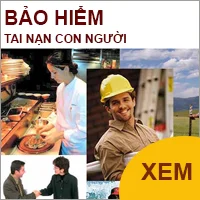 Tổng Công Ty Cổ Phần Bảo Hiểm Petrolimex