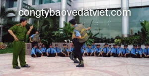 Công Ty TNHH Dịch Vụ Bảo Vệ Đất Việt – Chi Nhánh Đà Nẵng