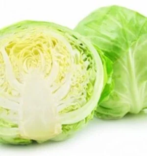 Nông Sản Đất Xanh – Công Ty TNHH Nông Sản Và Thực Phẩm Đất Xanh